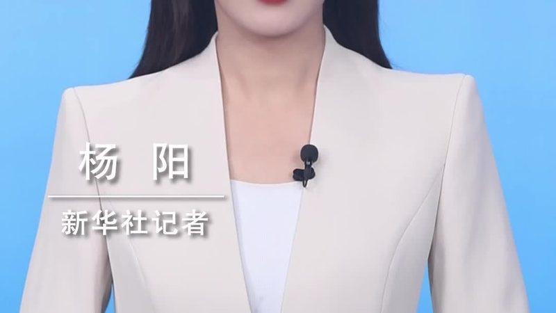 数据可视化与数据分析：解析两者之间的本质差异