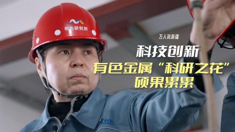 物流与供应链：两种系统的本质区别与案例分析**